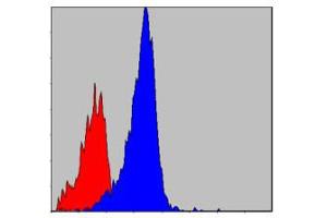Flow cytometric analysis of NIH/3T3 cells using CRKL monoclonal antibody, clone 5E12  (blue) and negative control (red) . (CrkL 抗体)