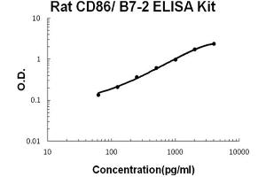 Rat CD86/B7-2 Accusignal ELISA Kit Rat CD86/B7-2 AccuSignal ELISA Kit standard curve. (CD86 ELISA 试剂盒)