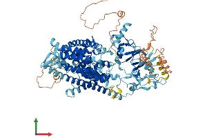 Protein Structure (PS) image for Chloride Channel, Voltage-Sensitive 6 (CLCN6) (AA 1-870) protein (His tag) (ABIN7562322)