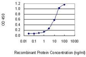 Detection limit for recombinant GST tagged ATF5 is 0. (ATF5 抗体  (AA 101-200))
