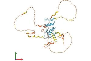 Protein Structure (PS) image for Kruppel-Like Factor 1 (erythroid) (KLF1) (AA 1-362) protein (His tag) (ABIN7548716)