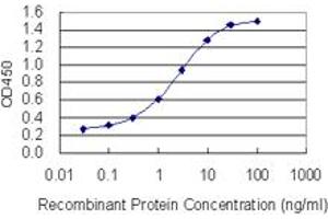 Detection limit for recombinant GST tagged PBXIP1 is 0. (PBXIP1 抗体  (AA 480-578))