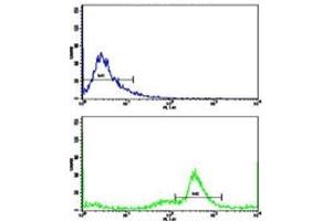 Flow Cytometry (FACS) image for anti-Complement Component 5 (C5) (AA 253-281) antibody (ABIN3029690)