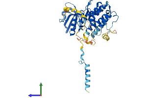 Protein Structure (PS) image for Mitogen-Activated Protein Kinase-Activated Protein Kinase 2 (MAPKAPK2) (AA 1-386) protein (His tag) (ABIN7563334)
