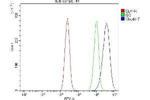 Flow Cytometry analysis of Caco-2 cells using anti-Claudin 7/CLDN-7 antibody (ABIN7602665). (Claudin 7 抗体  (AA 92-211))
