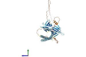 Protein Structure (PS) image for Synaptosomal-Associated Protein, 47kDa (SNAP47) (AA 1-464) protein (His tag) (ABIN7546329)