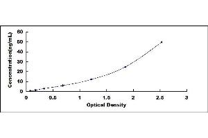 Typical standard curve (FTL ELISA 试剂盒)
