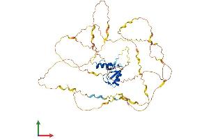 Protein Structure (PS) image for Cas-Br-M (Murine) Ecotropic Retroviral Transforming Sequence-Like 1 (CBLL1) (AA 1-491) protein (His tag) (ABIN7561561)