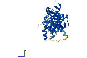 Protein Structure (PS) image for Ankyrin Repeat and SOCS Box Containing 17 (ASB17) (AA 1-295) protein (His tag) (ABIN7552428)