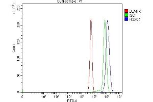 Flow Cytometry analysis of RH35 cells using anti-HOXC4 antibody (ABIN7603059). (HOXC4 抗体  (Middle Region))