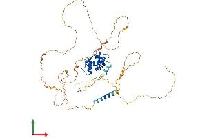 Protein Structure (PS) image for Ets Variant 4 (ETV4) (AA 1-485) protein (His tag) (ABIN7563045)