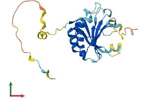 Protein Structure (PS) image for Eukaryotic Translation Initiation Factor 4E Family Member 3 (EIF4E3) (AA 1-224) protein (His tag) (ABIN7548424)
