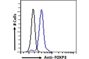 ABIN6391347 Flow cytometric analysis of paraformaldehyde fixed Human peripheral blood mononuclear cells (blue line), permeabilized with 0. (FOXP3 抗体  (C-Term))