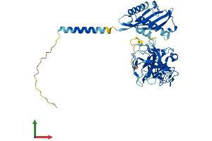 AlphaFold protein structure predicition of Human Recombinant TMPRSS11F Protein, UniprotID Q6ZWK6
