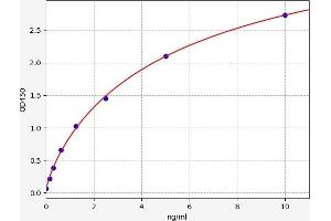 ELISA image for Cross-Linked C-Telopeptides of Type I Collagen (CTX-I) ELISA Kit (ABIN6966137)