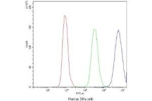 Flow cytometry testing of human SiHa cells with PPT1 antibody at 1ug/10^6 cells (blocked with goat sera) (PPT1 抗体)