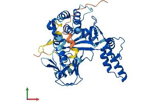 Protein Structure (PS) image for SMYD Family Member 5 (SMYD5) (AA 1-416) protein (His tag) (ABIN7557106)