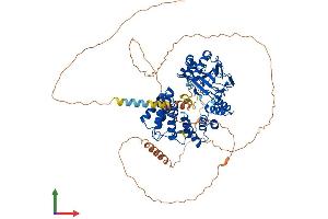Protein Structure (PS) image for Aspartate beta-Hydroxylase (ASPH) (AA 1-758) protein (His tag) (ABIN7552418)