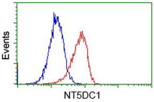 Image no. 3 for anti-5'-Nucleotidase Domain Containing 1 (NT5DC1) antibody (ABIN1499837) (NT5DC1 抗体)