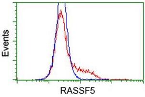 HEK293T cells transfected with either RC203854 overexpress plasmid (Red) or empty vector control plasmid (Blue) were immunostained by anti-RASSF5 antibody (ABIN2454290), and then analyzed by flow cytometry. (RASSF5 抗体)