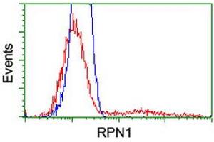 HEK293T cells transfected with either RC201554 overexpress plasmid (Red) or empty vector control plasmid (Blue) were immunostained by anti-RPN1 antibody (ABIN2455111), and then analyzed by flow cytometry. (RPN1 抗体)