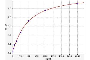 Neurotrophin 3 ELISA 试剂盒