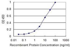 Detection limit for recombinant GST tagged CDC20B is 0. (CDC20B 抗体  (AA 416-515))