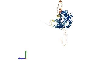 AlphaFold protein structure predicition of Human Recombinant P2RY2 Protein, UniprotID P41231