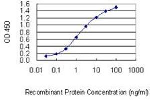 Detection limit for recombinant GST tagged NFIX is 0. (NFIX 抗体  (AA 291-390))