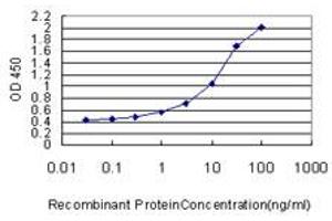 ELISA image for anti-Forkhead Box C2 (MFH-1, Mesenchyme Forkhead 1) (FOXC2) (AA 421-501) antibody (ABIN560914)