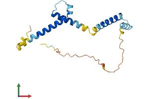 Protein Structure (PS) image for Hairy and Enhancer of Split 5 (HES5) (AA 1-166) protein (His tag) (ABIN7548295)