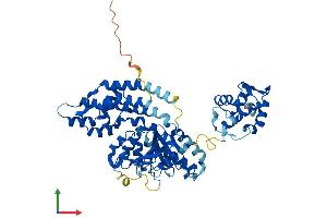 AlphaFold protein structure predicition of Mouse Recombinant Ehd3 Protein, UniprotID Q9QXY6