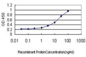 Detection limit for recombinant GST tagged RRAS is approximately 0. (R-Ras 抗体  (AA 109-218))