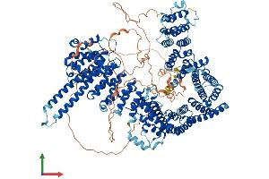 Protein Structure (PS) image for Stromal Antigen 1 (STAG1) (AA 1-1258) protein (His tag) (ABIN7555646)