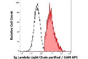 Separation of human Ig Lambda light chain positive lymphocytes (red-filled) from Ig Lambda light chain negative lymphocytes (black-dashed) in flow cytometry analysis (surface staining) of human peripheral whole blood stained using anti-human Ig Lambda Light Chain (1-155-2) purified antibody (concentration in sample 4 μg/mL, GAM APC). (Lambda-IgLC 抗体)