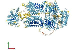 Protein Structure (PS) image for ATP-Binding Cassette, Sub-Family A (ABC1), Member 6 (ABCA6) (AA 1-1617) protein (His tag) (ABIN7551791)