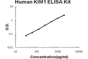 Human KIM1 PicoKine ELISA Kit standard curve (HAVCR1 ELISA 试剂盒)