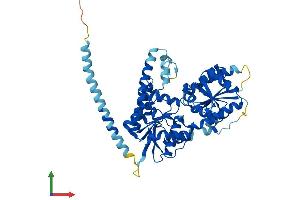 Protein Structure (PS) image for Asparagine-Linked Glycosylation 11, alpha-1,2-Mannosyltransferase Homolog (Yeast) (ALG11) (AA 1-492) protein (His tag) (ABIN7552046)