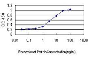 Detection limit for recombinant GST tagged EPB41L3 is approximately 0. (EPB41L3 抗体  (AA 915-1007))