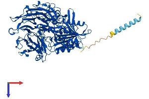 Protein Structure (PS) image for Fibroblast Activation Protein, alpha (FAP) (AA 1-760) protein (His tag) (ABIN7555516)