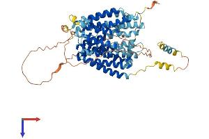 AlphaFold protein structure predicition of Mouse Recombinant Mfsd6l Protein, UniprotID Q8R3N2 (MFSD6L Protein (AA 1-586) (His tag))