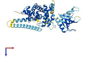 Cytohesin 3 Protein (CYTH3) (AA 1-400) (His tag)