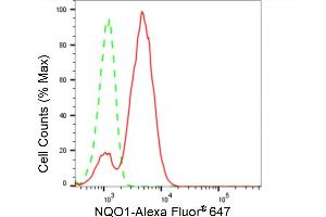 Flow cytometric analysis of NQO1 expression in HT- cells using NQO1 antibody (ABIN7800954), 1:2,000). (Recombinant NADH Quinone Dehydrogenase 1 抗体)