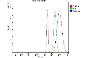 Flow Cytometry analysis of HepG2 cells using anti-UBE2Q2 antibody (ABIN3043953).