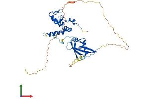 Protein Structure (PS) image for BMI1 Polycomb Ring Finger Oncogene (BMI1) (AA 1-326) protein (His tag) (ABIN7552812)