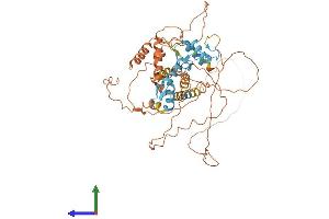 Protein Structure (PS) image for Zinc Finger Protein 238 (ZNF238) (AA 1-522) protein (His tag) (ABIN7556142)