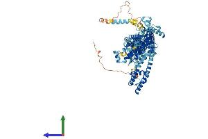 Protein Structure (PS) image for Transient Receptor Potential Cation Channel, Subfamily C, Member 7 (TRPC7) (AA 1-862) protein (His tag) (ABIN7565237)