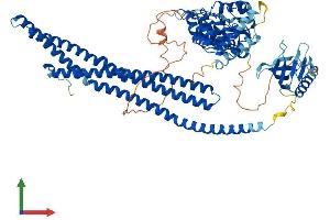 Protein Structure (PS) image for ArfGAP with Coiled-Coil, Ankyrin Repeat and PH Domains 2 (ACAP2) (AA 1-770) protein (His tag) (ABIN7558146)