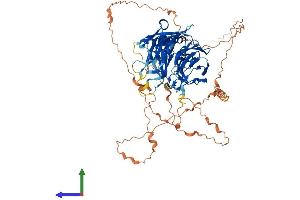 Protein Structure (PS) image for F-Box Protein 42 (FBXO42) (AA 1-717) protein (His tag) (ABIN7558049)