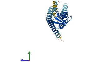 Protein Structure (PS) image for Gap Junction Protein, beta 2, 26kDa (GJB2) (AA 1-226) protein (His tag) (ABIN7546927)